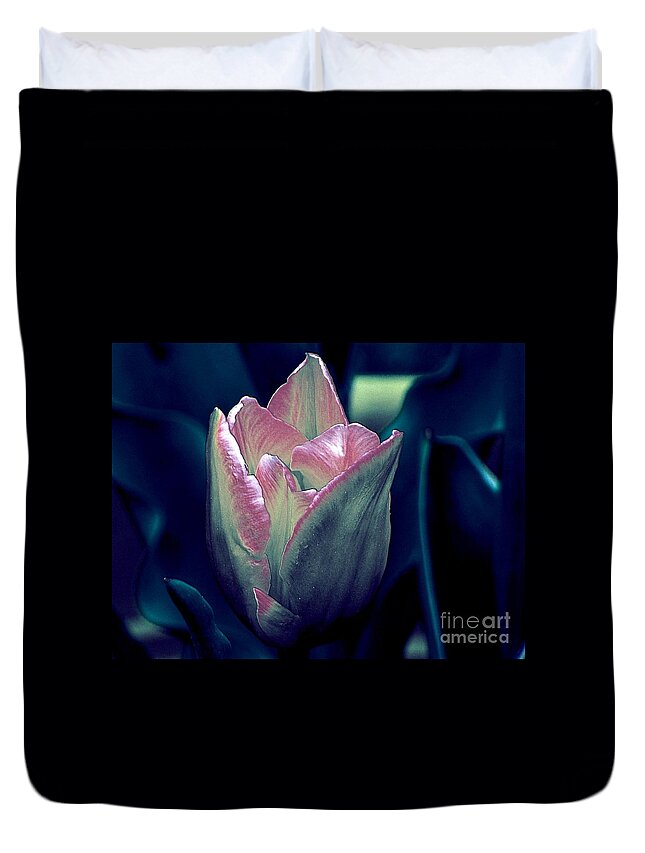 Tulip Duvet Cover featuring the photograph Satin by Elfriede Fulda