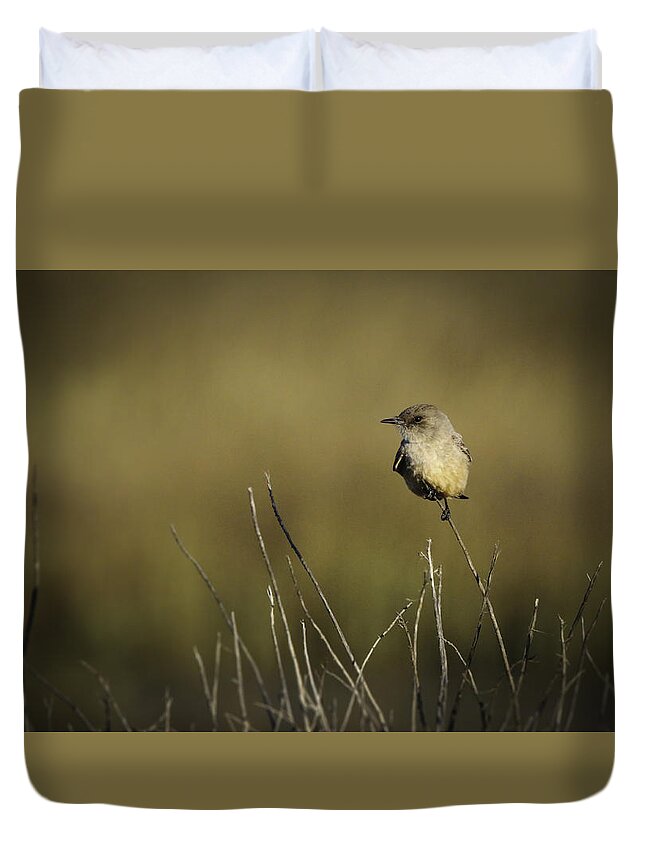 Bird Duvet Cover featuring the photograph Say's Flycatcher by Dusty Wynne