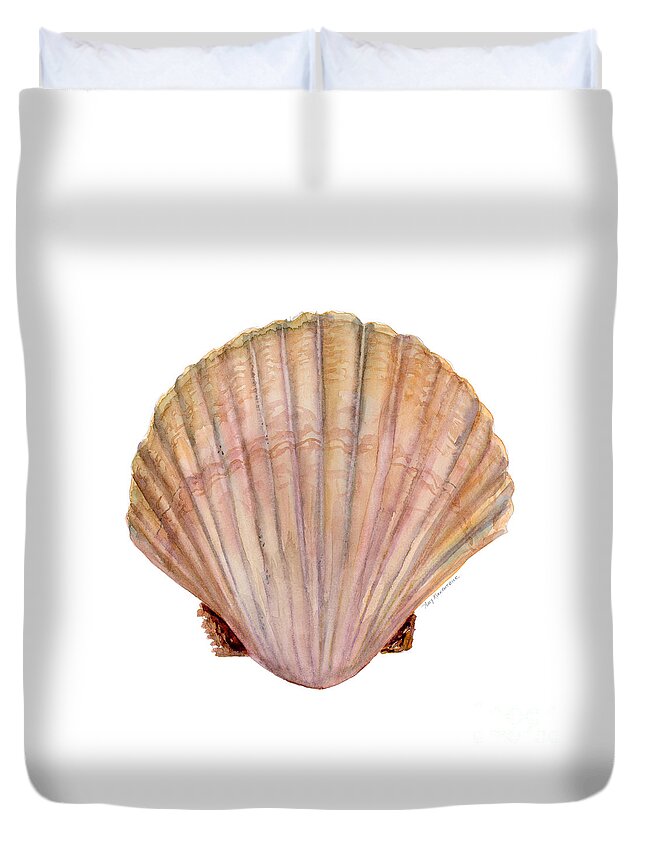 Scallop Shell Painting Duvet Cover featuring the painting Scallop Shell by Amy Kirkpatrick