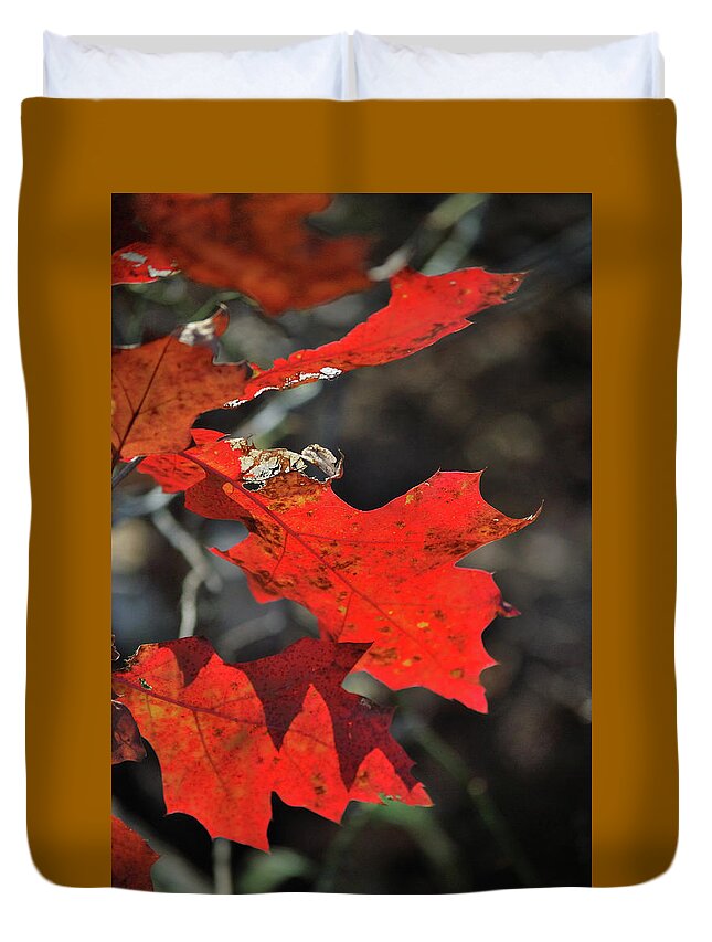 Autumn Duvet Cover featuring the photograph Scarlet Autumn by Ron Cline
