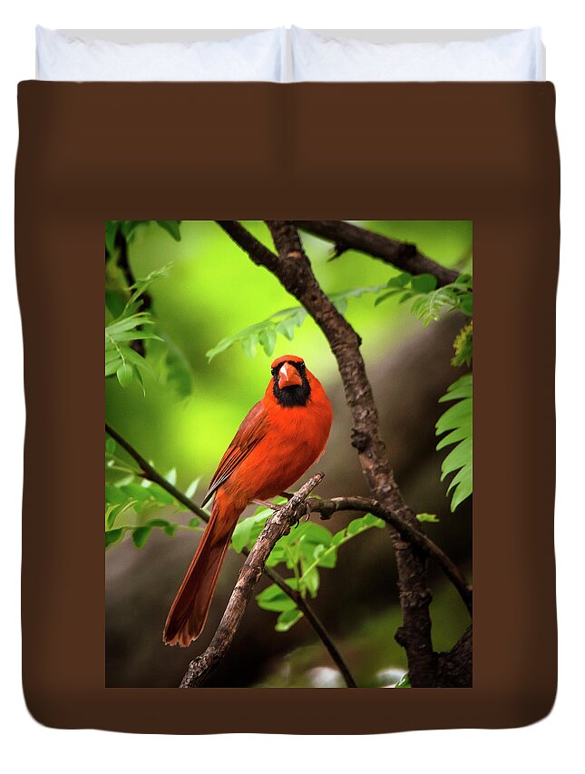 Nature Duvet Cover featuring the photograph Scarlet Messenger by Steve Marler