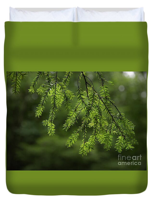 Pine Duvet Cover featuring the photograph Scents Of Summer by Mike Eingle