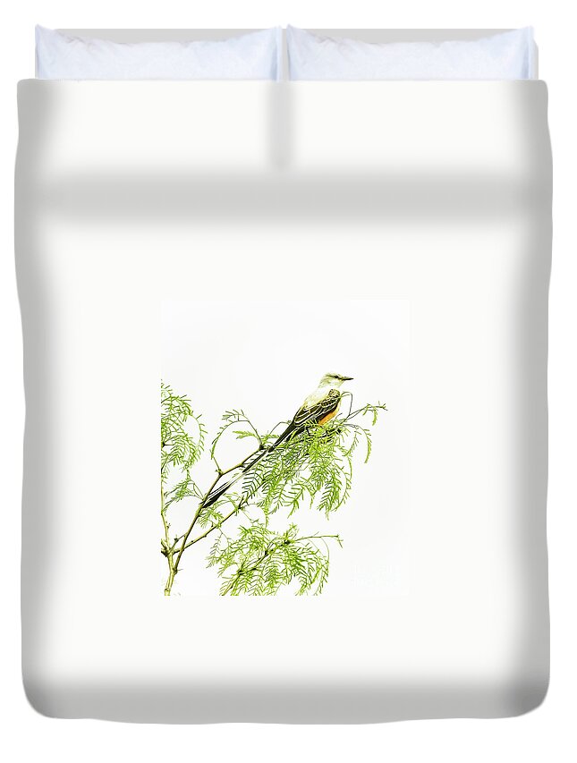 Animal Duvet Cover featuring the photograph Scissortail On Mesquite by Robert Frederick