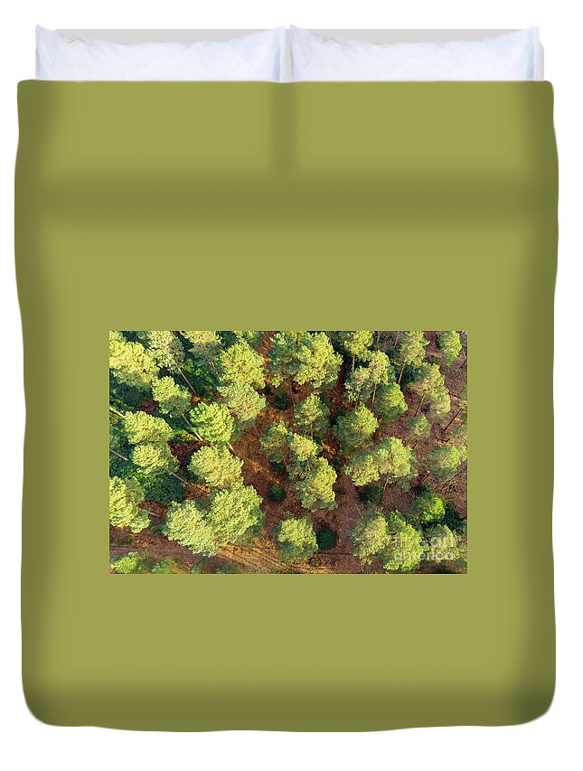 Scots Pines Duvet Cover featuring the photograph Scots Pines by Andy Myatt