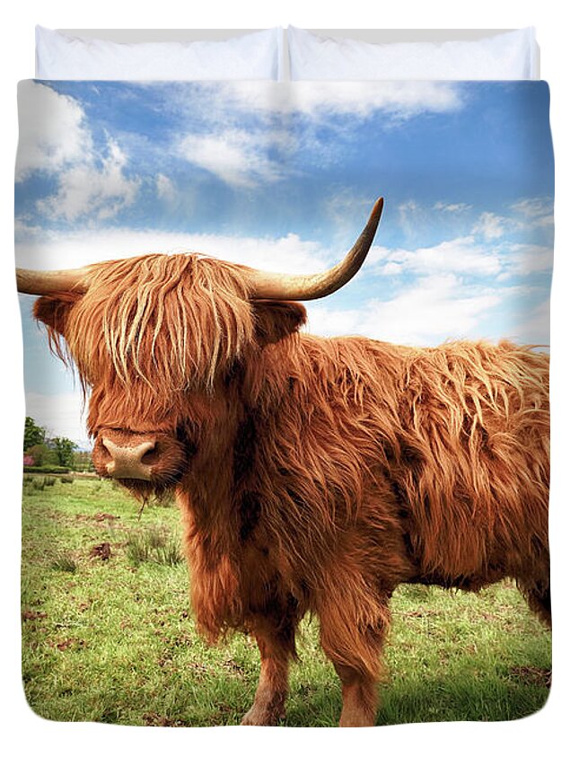 Highland Cow Duvet Cover featuring the photograph Scottish Highland Cow - Trossachs by Grant Glendinning