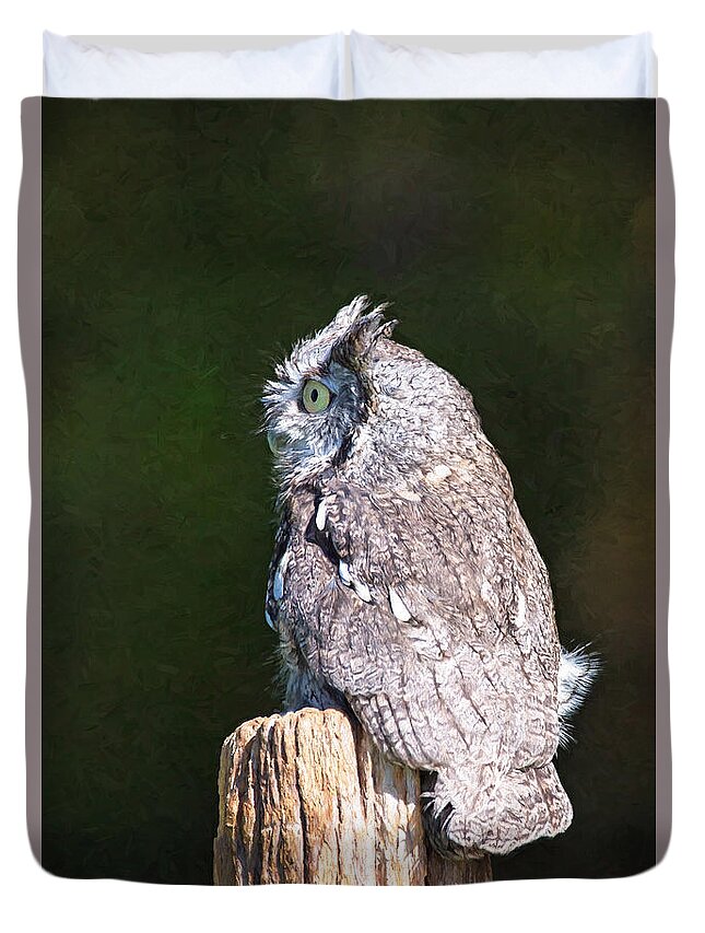 Nature Duvet Cover featuring the photograph Screech Owl Profile by Sharon McConnell