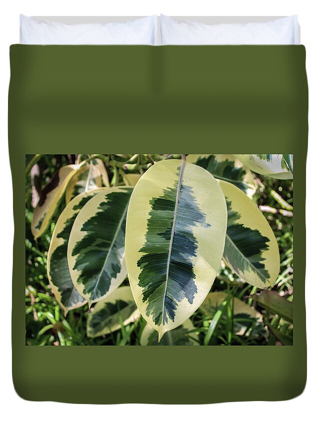 Large Leaf Duvet Cover featuring the photograph Scribble Scrabble by Alison Frank