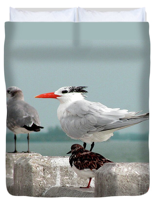 Birds Duvet Cover featuring the photograph Sea Birds by Donna Brown