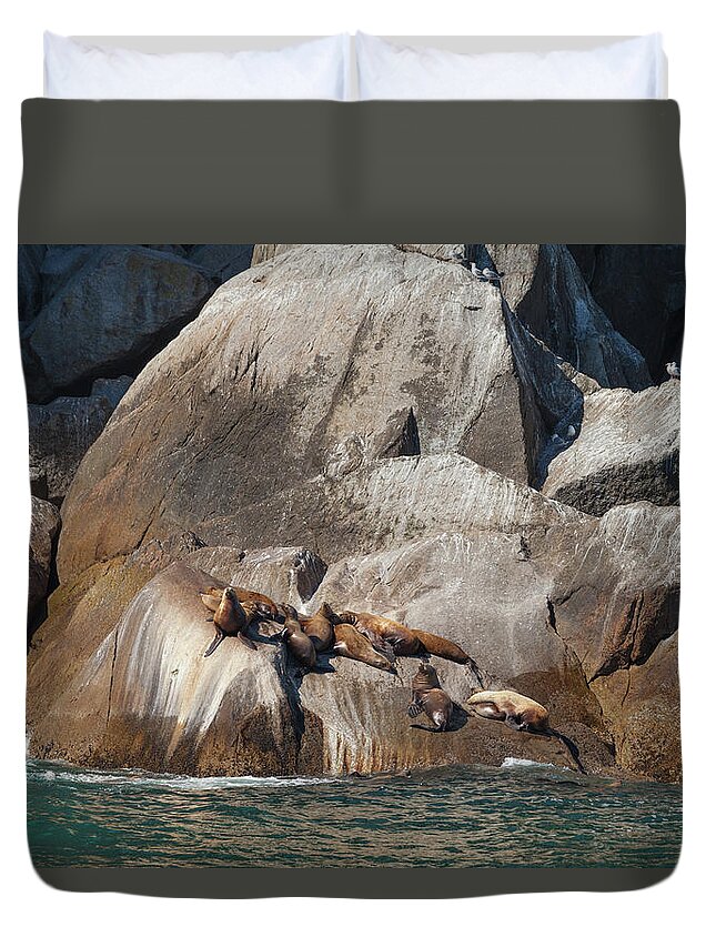 Steller Sea Lion Duvet Cover featuring the photograph Sea Lions by Scott Slone