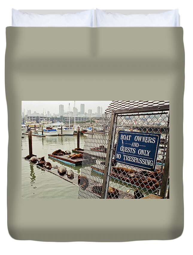 Color Duvet Cover featuring the photograph Sea Lions Take Over, San Francisco by Frank DiMarco