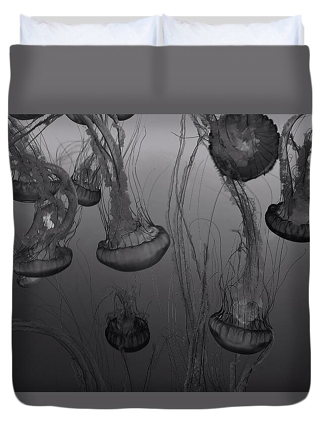 Jellyfish Duvet Cover featuring the photograph Sea Nettle Jellyfish in Motion by Marilyn MacCrakin