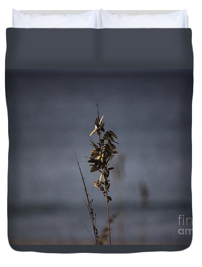 Sea Oat Duvet Cover featuring the photograph Sea Oat by Roberta Byram