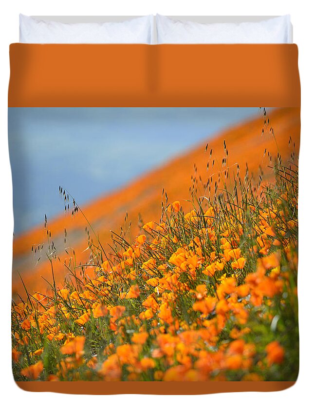 California Duvet Cover featuring the photograph Sea of Poppies by Kyle Hanson