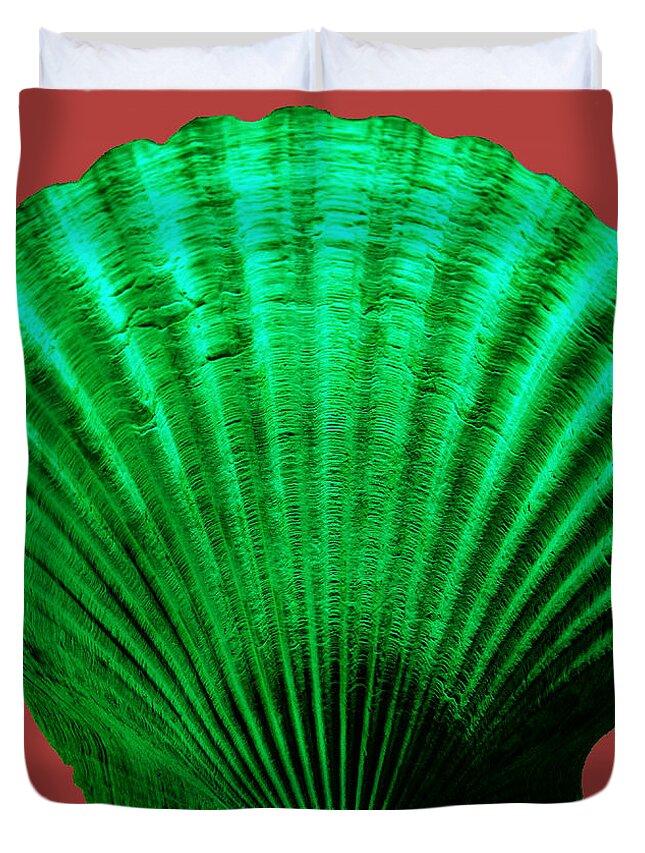 Sea Duvet Cover featuring the photograph Sea Shell-Green-red by WAZgriffin Digital