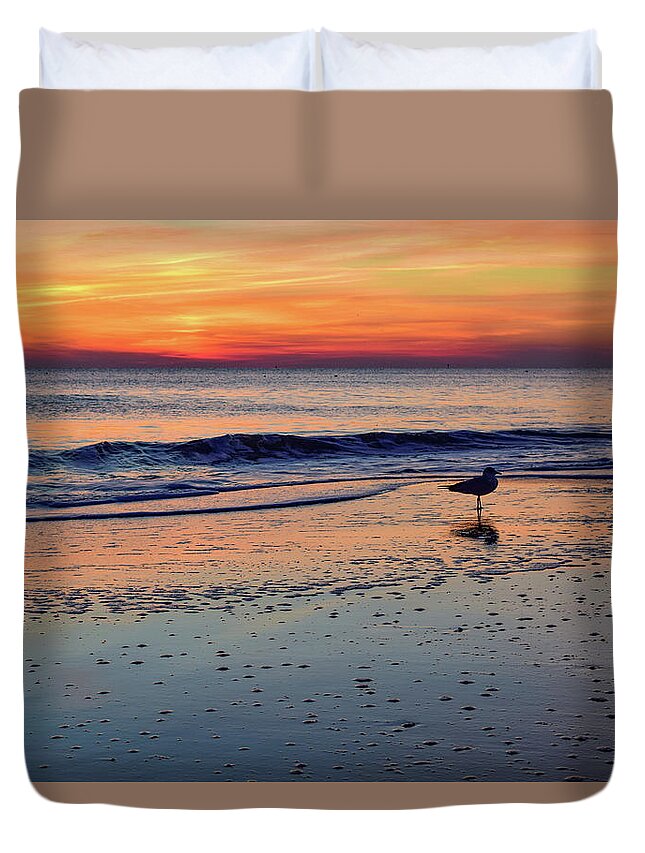Beach Duvet Cover featuring the photograph Seagull at Sunrise by Nicole Lloyd
