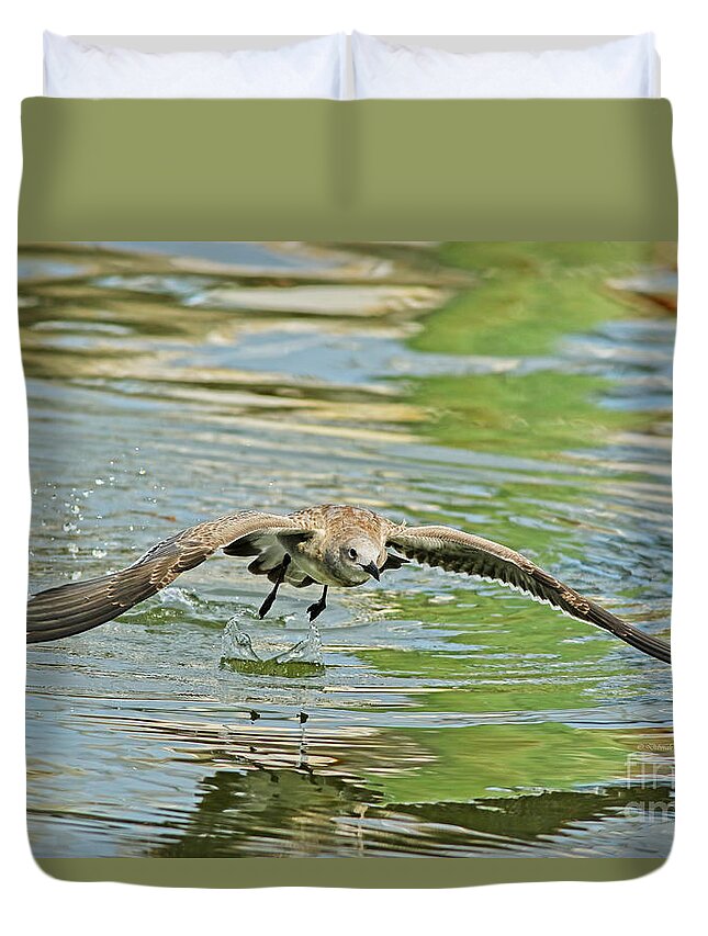 Seagull Duvet Cover featuring the photograph Seagull Fishing by Deborah Benoit