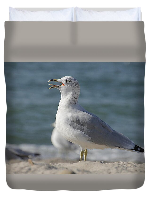 Seagull Duvet Cover featuring the photograph Seagull on Lake Erie Beach by Valerie Collins