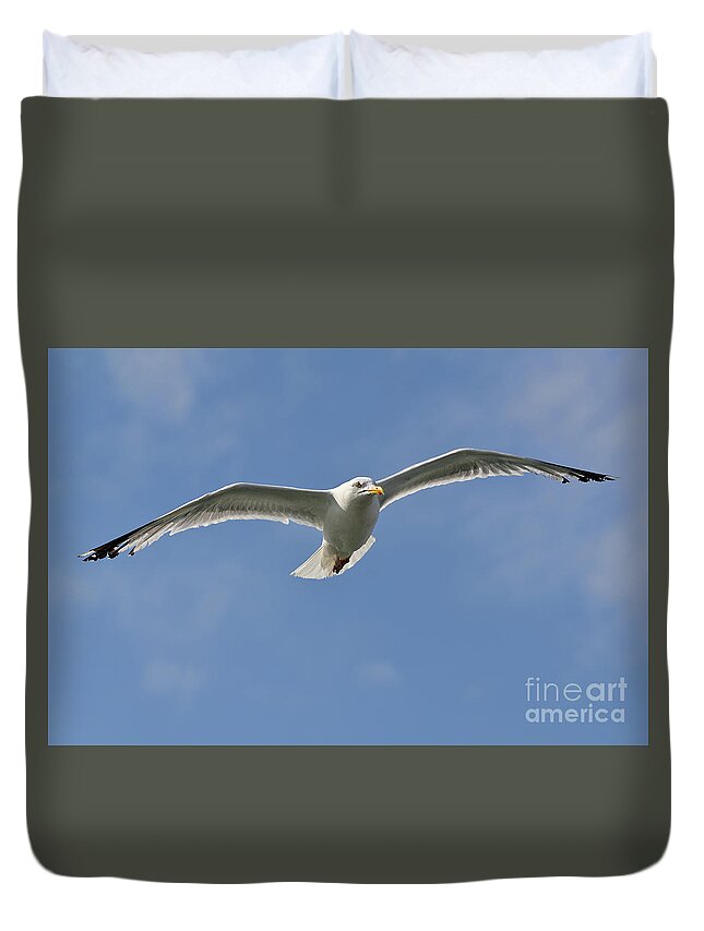 Gull Duvet Cover featuring the photograph Seagull patrol by Steev Stamford