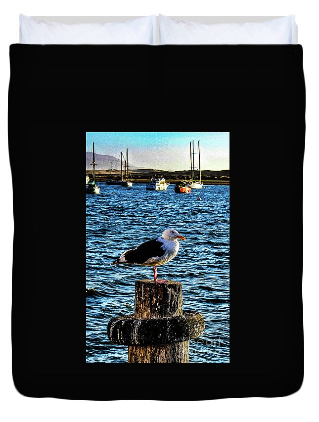 Bird Duvet Cover featuring the photograph Seagull Perch by Adam Morsa
