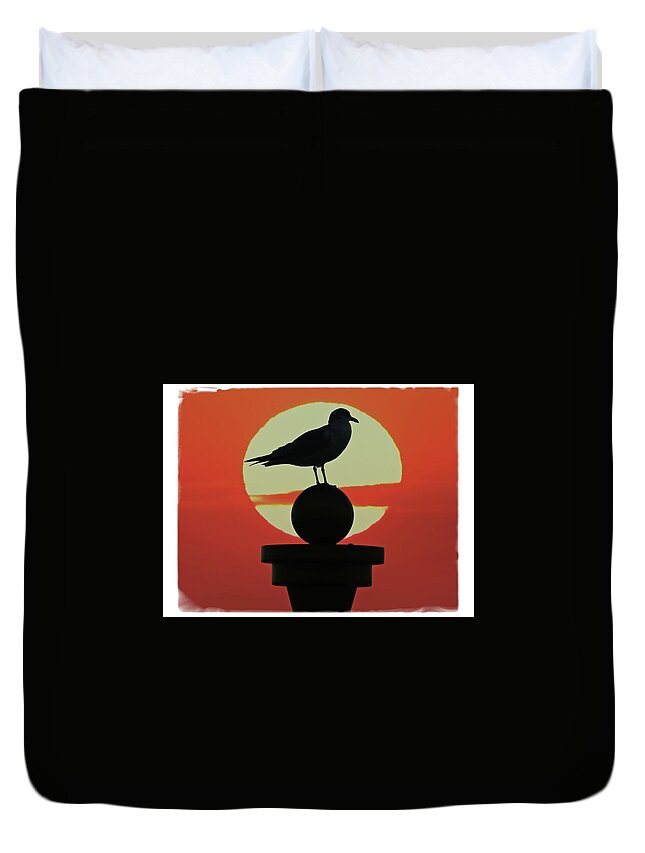 Alicegipsonphotographs Duvet Cover featuring the photograph Seagull Sunset by Alice Gipson