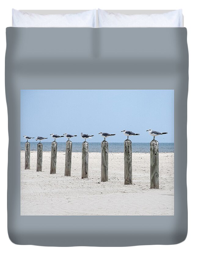 Seagull Duvet Cover featuring the photograph Seagulls by Brian Kinney