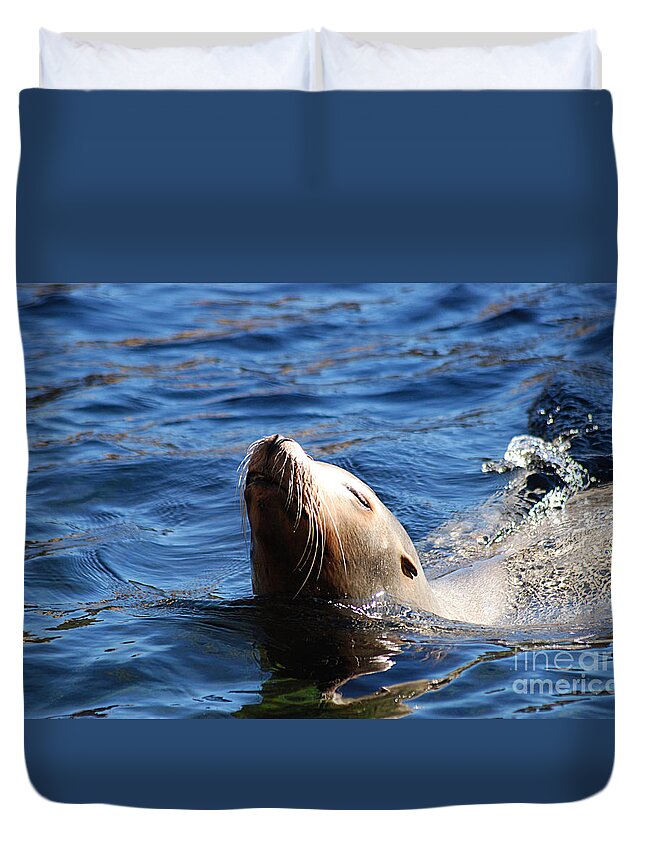 California Duvet Cover featuring the photograph Seal 20150117_122 by Tina Hopkins