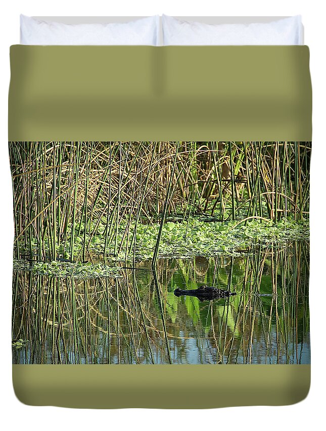 Alligator Duvet Cover featuring the photograph Searching for Food by Richard Goldman