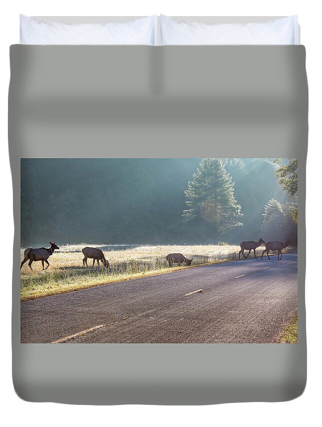 Elk Duvet Cover featuring the photograph Searching For Greener Grass by D K Wall