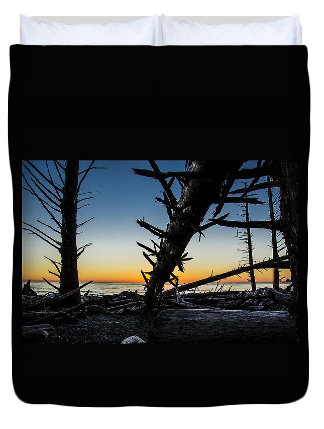 Branch Duvet Cover featuring the photograph Seaside Tree Branch Sunset 3 by Pelo Blanco Photo