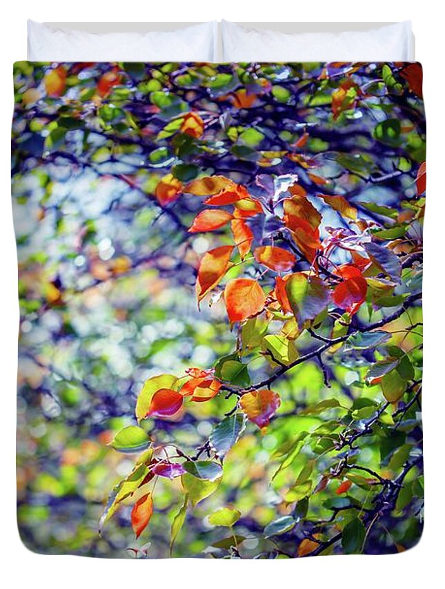 Australia Duvet Cover featuring the photograph Seasons Change by Az Jackson