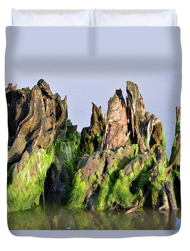 Jekyll Island Duvet Cover featuring the photograph Seaweed-Covered Beach Stump by Bruce Gourley