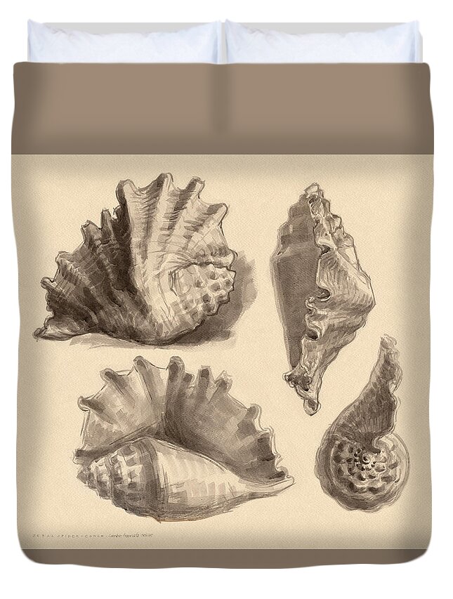 Seashell Duvet Cover featuring the painting Seba's Spider Conch by Judith Kunzle