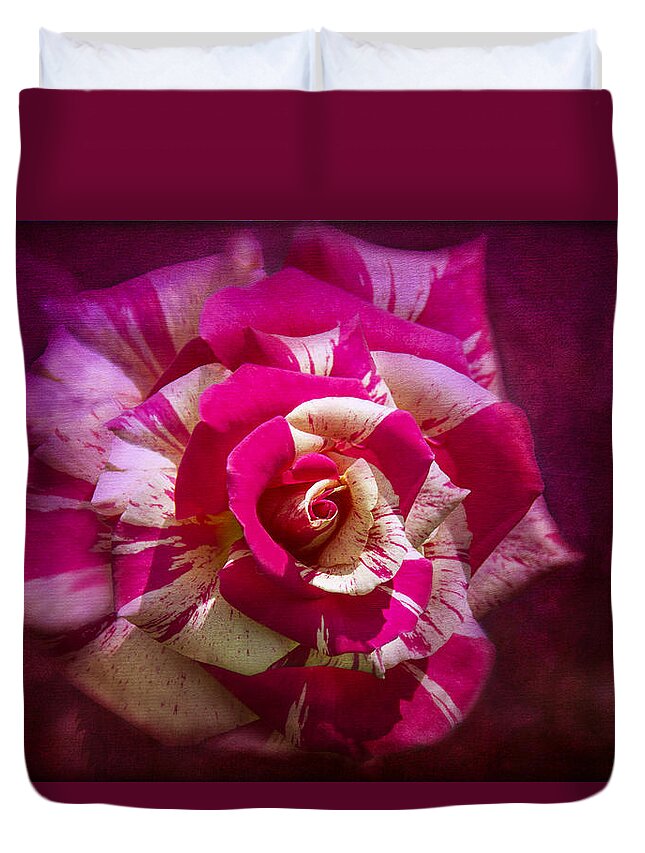 Pink And White Rose Duvet Cover featuring the photograph Secret Heart by Marina Kojukhova