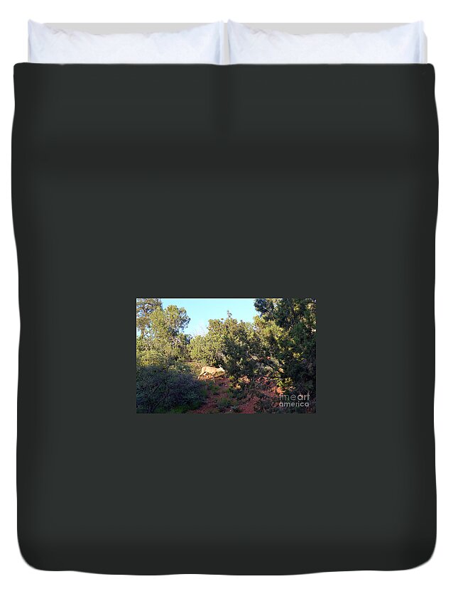 Sedona Duvet Cover featuring the photograph Sedona Doe by Mars Besso