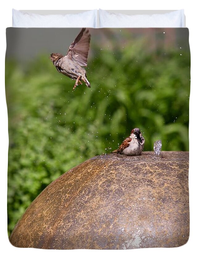 Birds Duvet Cover featuring the photograph See Ya Later by Kate Purdy