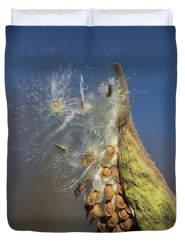 Seeds Duvet Cover featuring the photograph Seeds by Alana Ranney