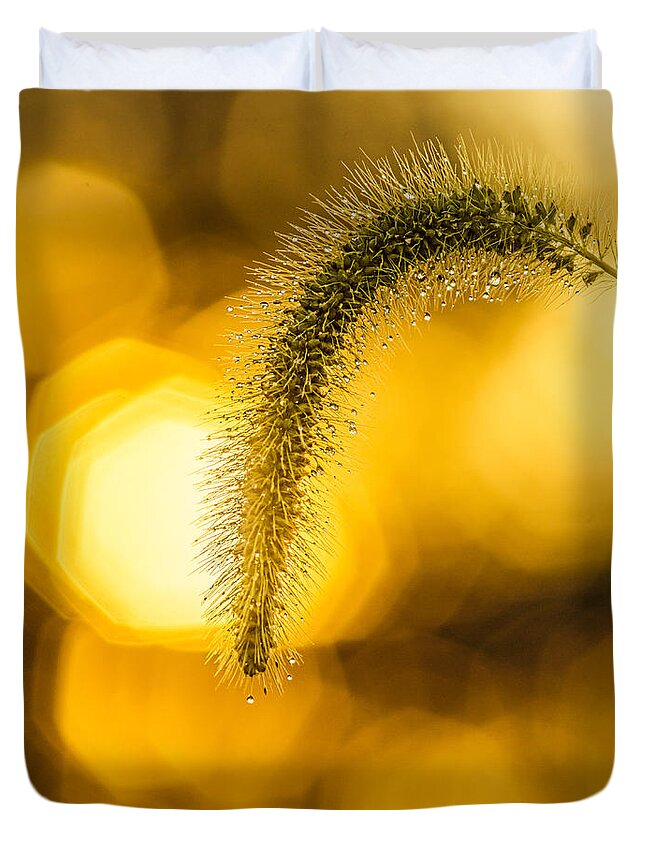 Landscape Duvet Cover featuring the photograph Seeds for Tomorrow by Chris Bordeleau