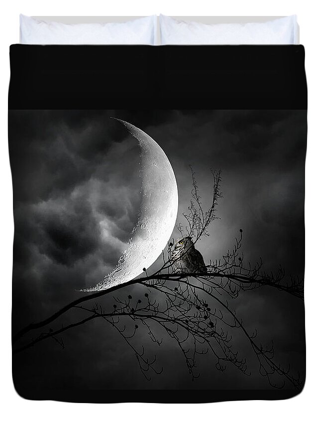 Owl Duvet Cover featuring the photograph Seer Of Souls by Lourry Legarde