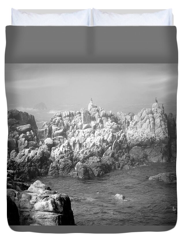 Waves Duvet Cover featuring the photograph Sentinels In The Fog B And W by Joyce Dickens