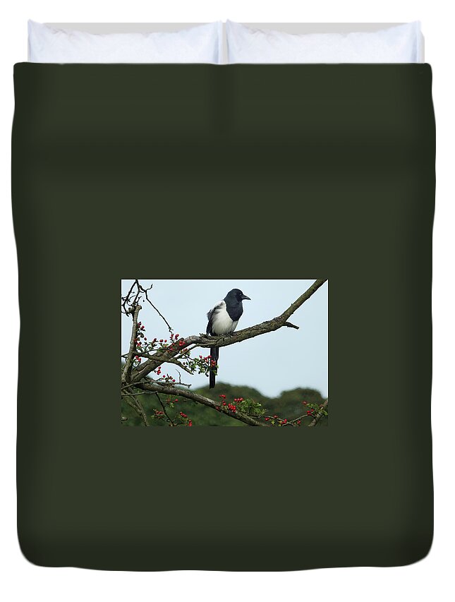Magpie Duvet Cover featuring the photograph September Magpie #1 by Philip Openshaw