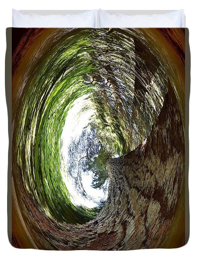 Vignette-decorative Design Duvet Cover featuring the photograph Sequoia Abstract by Scott Cameron