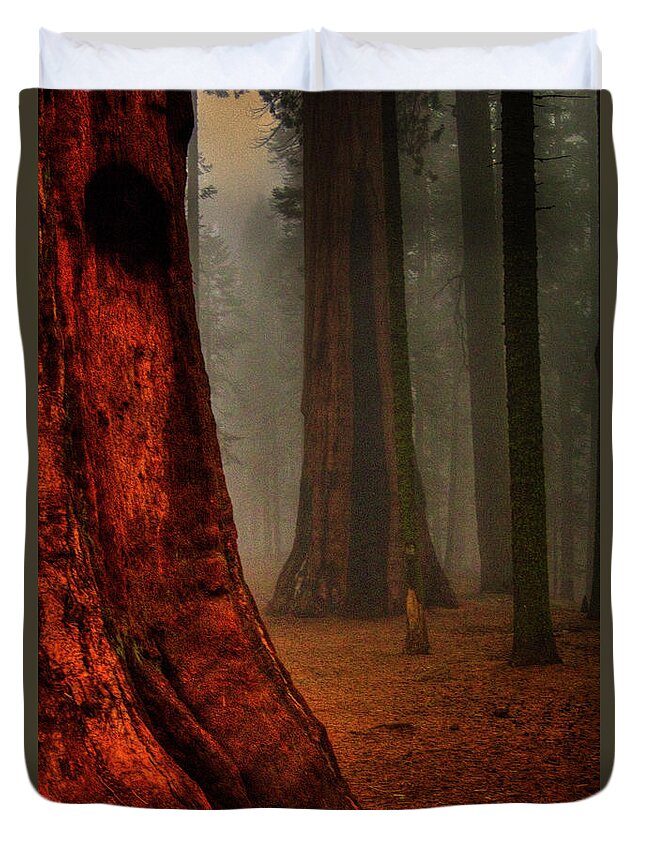 California Duvet Cover featuring the photograph Sequoias in the Clouds by Roger Passman