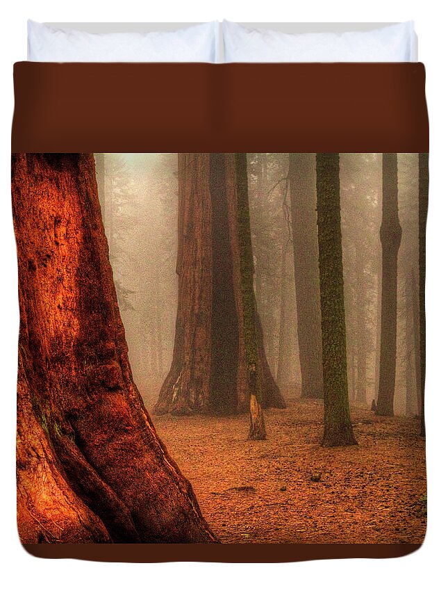 California Duvet Cover featuring the photograph Sequoias touching the Clouds by Roger Passman