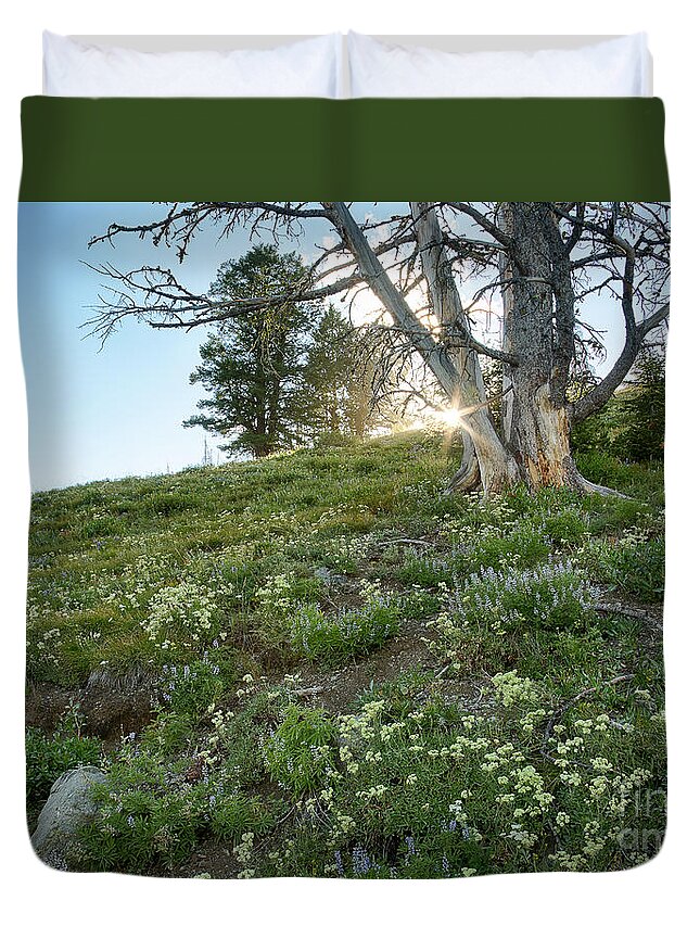 Idaho Duvet Cover featuring the photograph Seven Devils Sun by Idaho Scenic Images Linda Lantzy