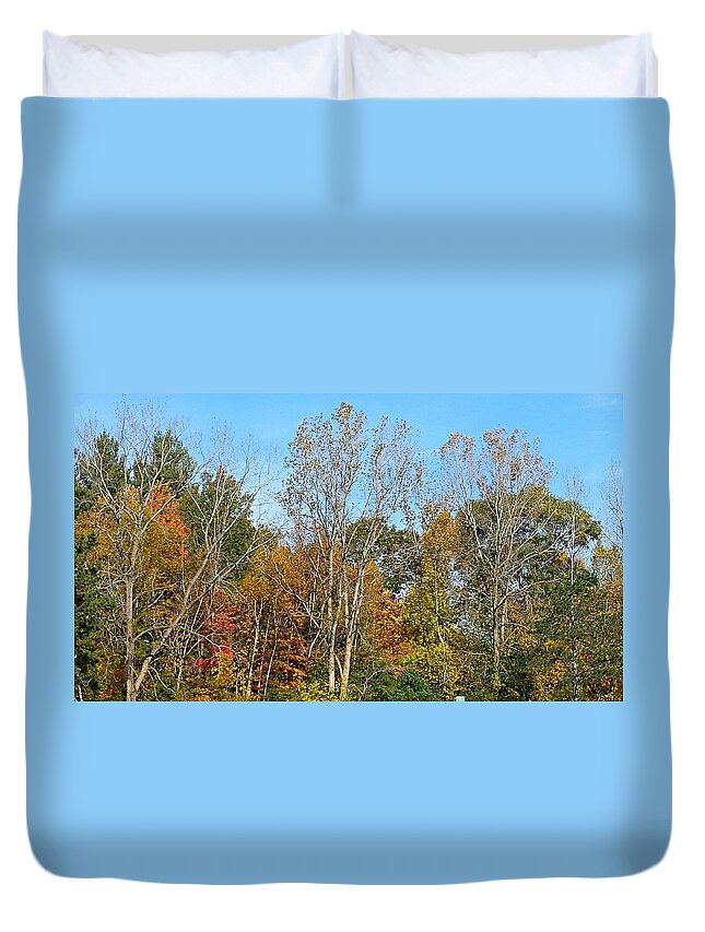 Colorful Duvet Cover featuring the photograph Shades by Jana E Provenzano