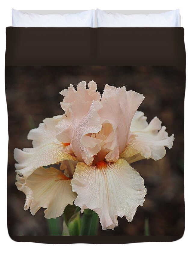 Iris Duvet Cover featuring the photograph Shades of pink by James Smullins