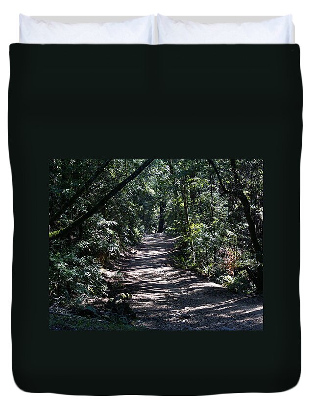 Mount Tamalpais Duvet Cover featuring the photograph Shady Road on Mt Tamalpais by Ben Upham III