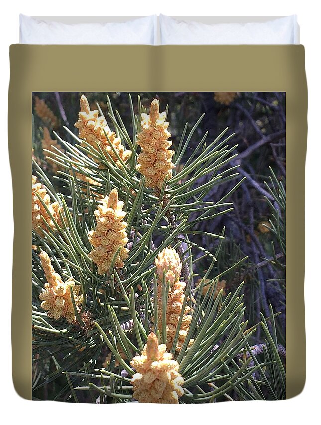 Pine Duvet Cover featuring the photograph Shaking in the Pines by Pamela Henry