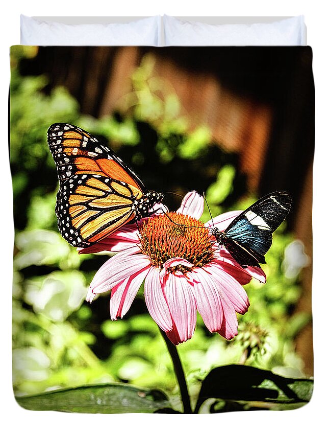 Butterfly Duvet Cover featuring the photograph Sharing by Robert Bales