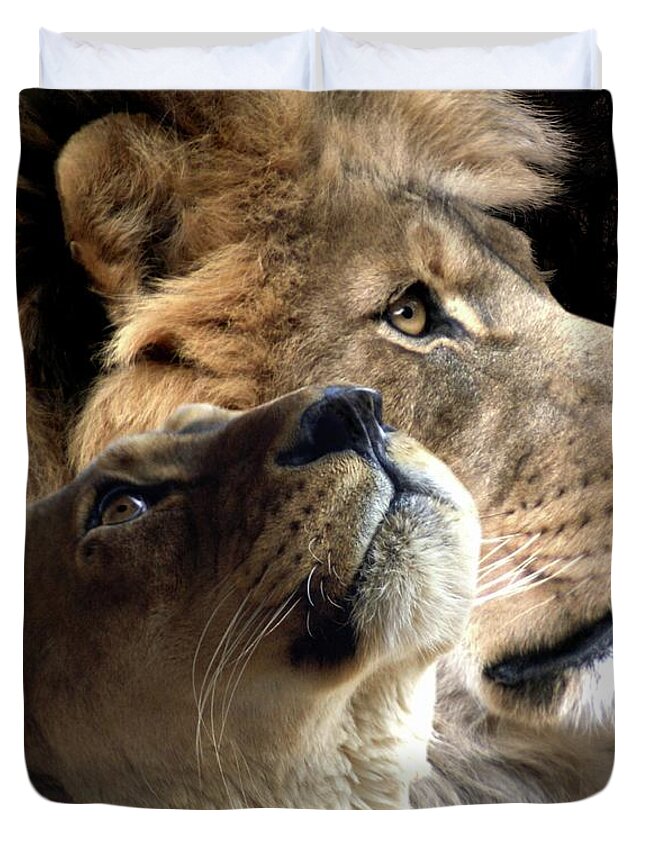 Lions Duvet Cover featuring the digital art Sharing The Vision 2 by Bill Stephens